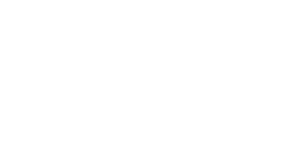 27 Gestione Navigazione Laghi