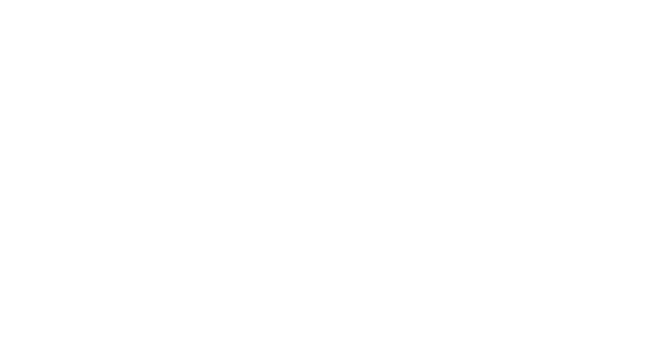 28 GTT Torino