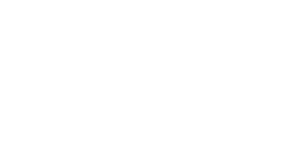 41 Regione Emilia Romagna