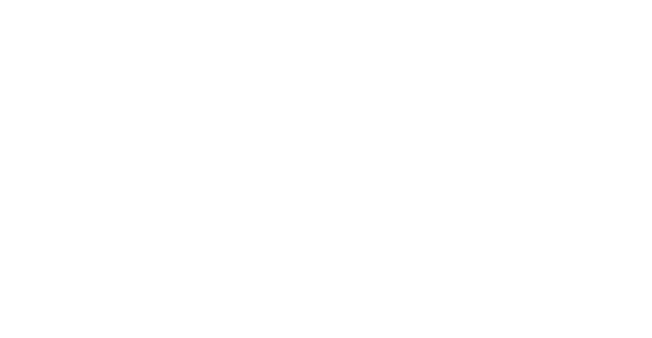 41 Regione Emilia Romagna