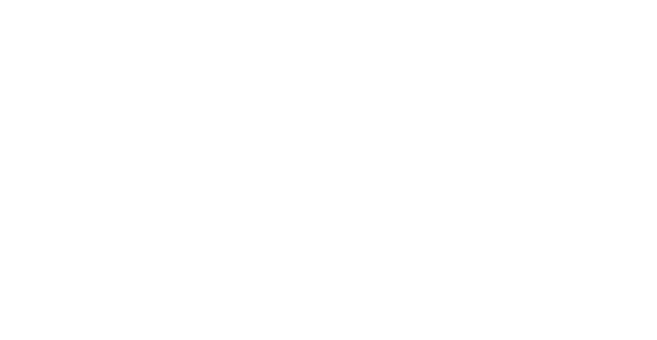 44 Regione Marche