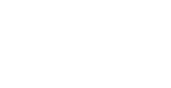 46 Saronno Servizi