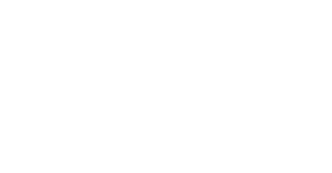 48 SGM Societa gestione multipla Lecce