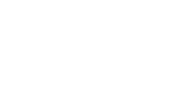 58 Flowbird Urban intelligence